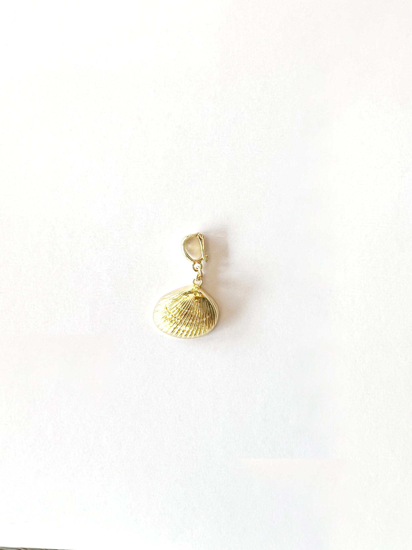 The Swellife Charm Clamshell