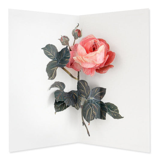 UWP Luxe Rose Artisan paper pop up card