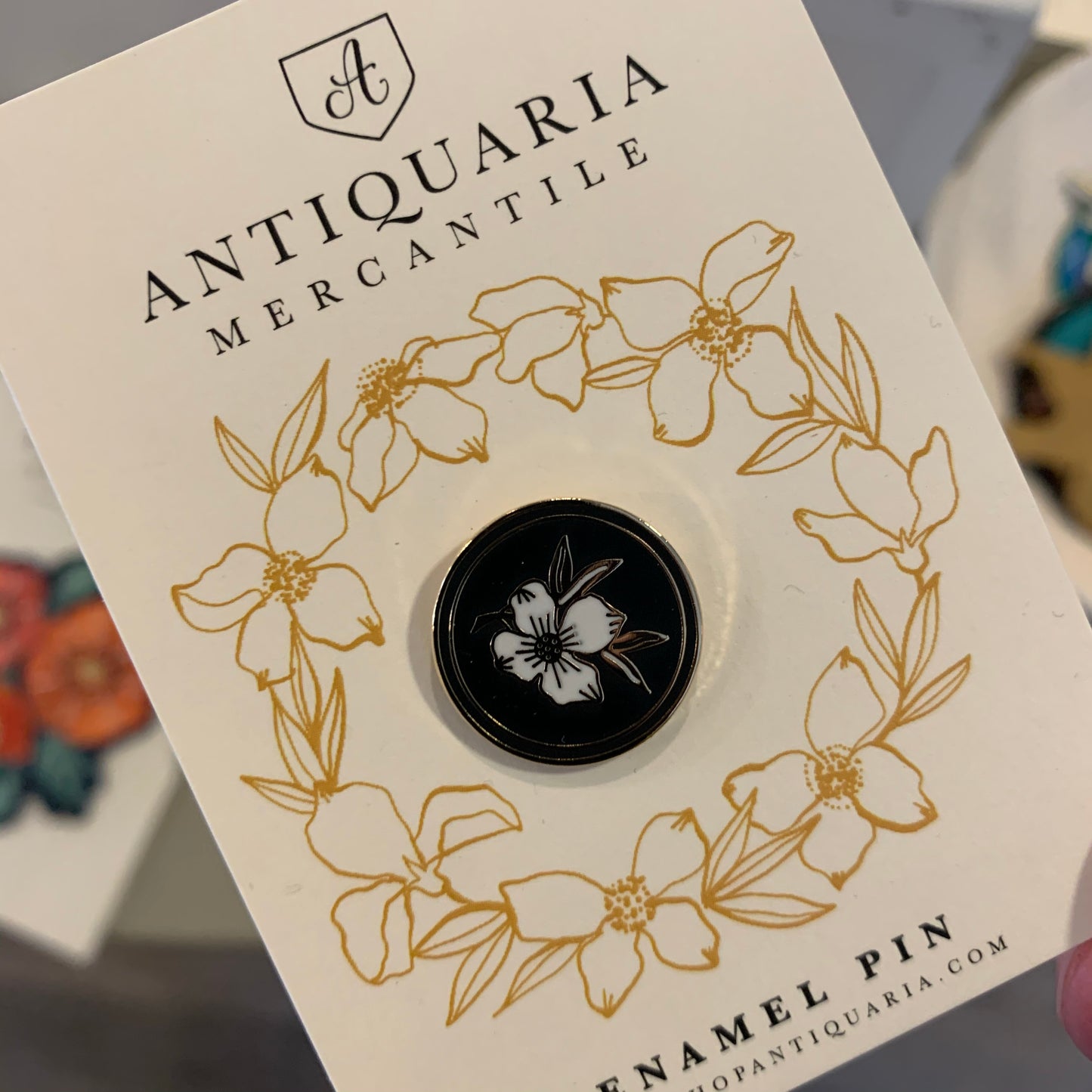 Antiquaria enamel pin Agave Sunrise