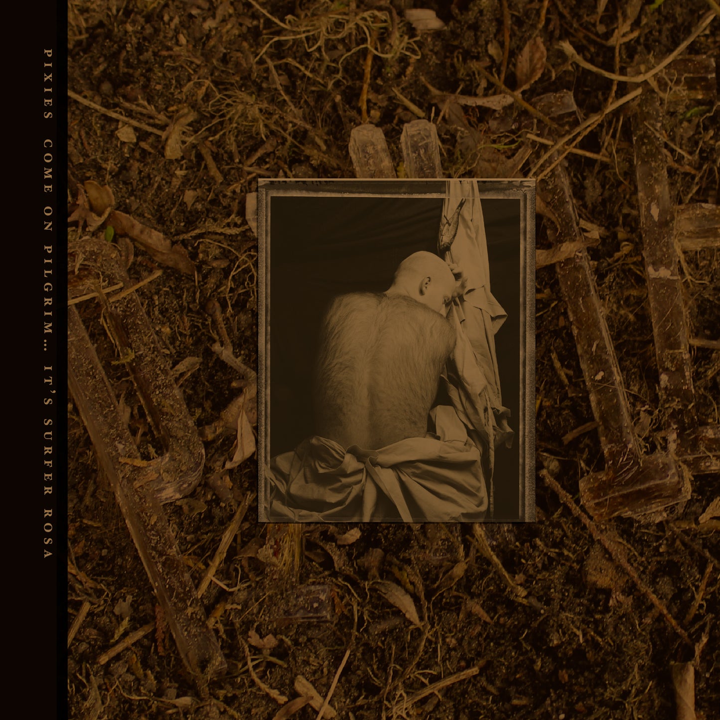 MUSIC - Special Editions