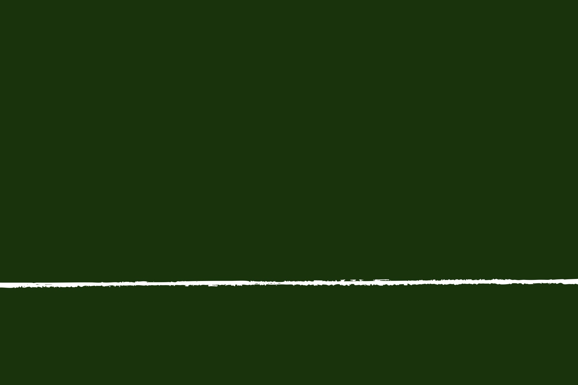 Solid dark green color swatch