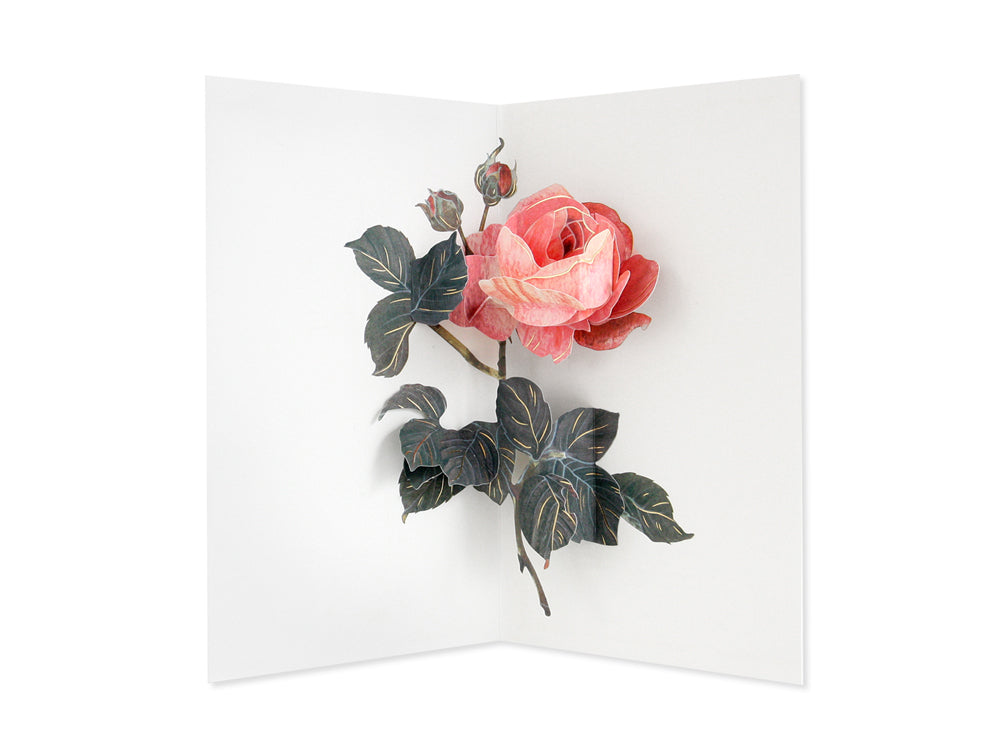 UWP Luxe Rose Artisan paper pop up card