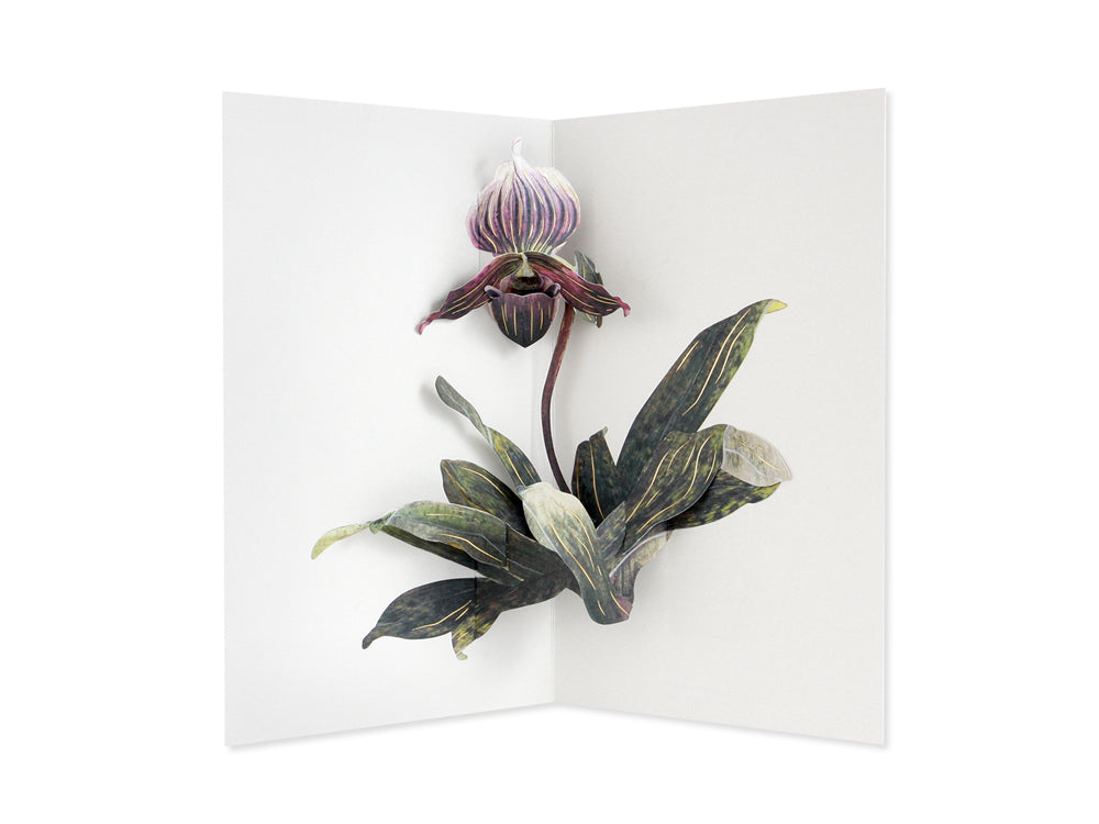 UWP Luxe Lady Slipper orchid Pop Up Art Card