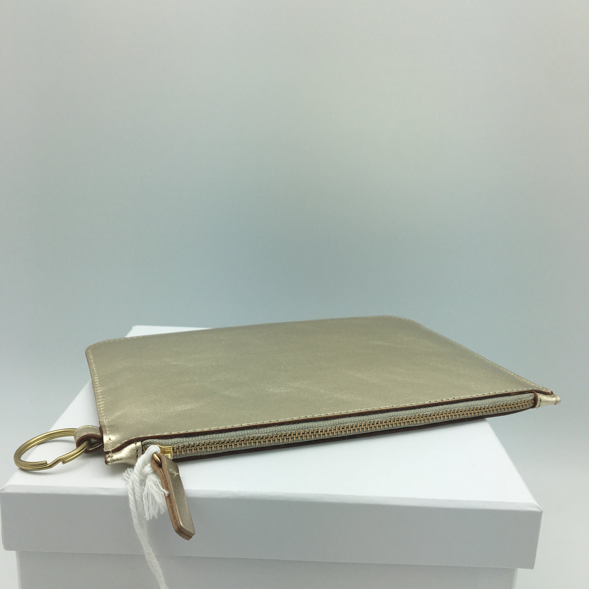 Minor History 2.0 pouch